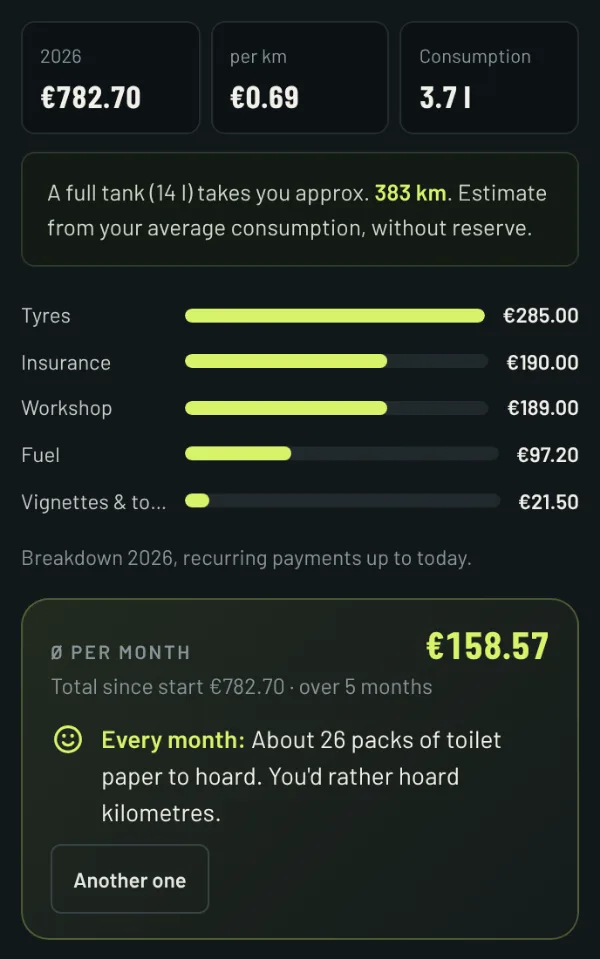 Costs in RIDE: spending by category for the year